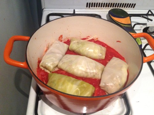 sarma in prog