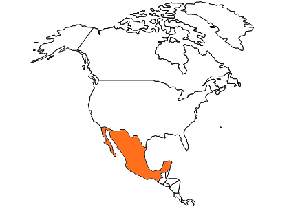 MEX map.png