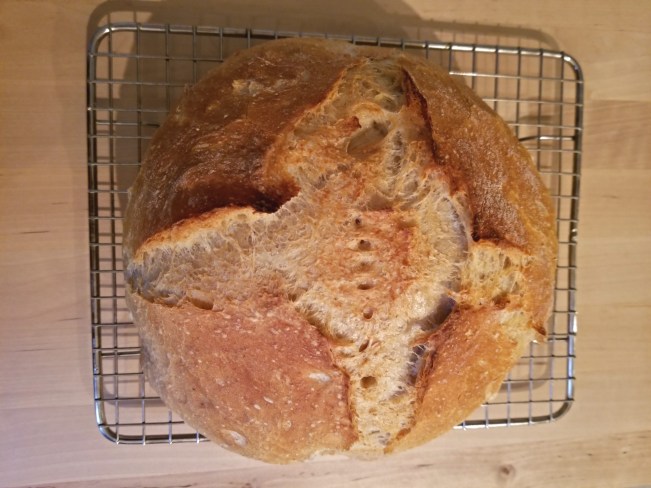 no knead